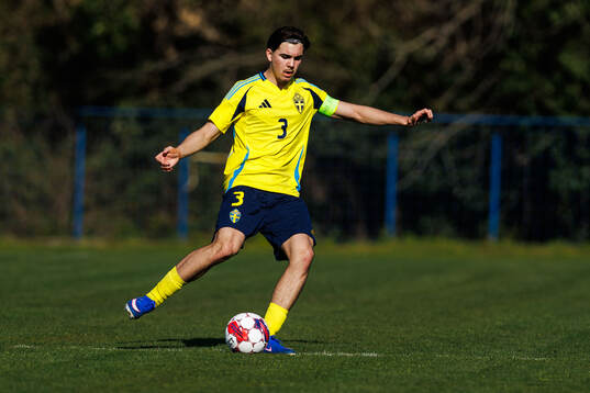 Vicente Ponnert Hidalgo of Sweden