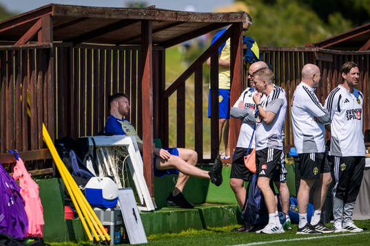 Injured player Dejan Kulusevski of the Swedish national