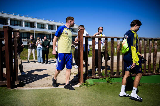 Injured player Dejan Kulusevski and Besfort Zeneli of the