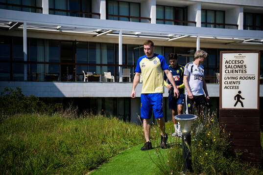 Injured player Dejan Kulusevski, Besfort Zeneli and team