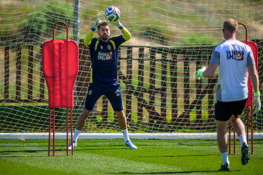 Goalkeeper Kristoffer Nordfeldt of the Swedish national