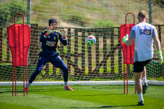 Goalkeeper Noel Törnqvist of the Swedish national football