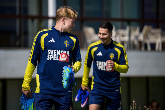 Daniel Svensson of the Swedish national football team