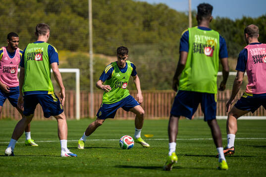 Yasin Ayari of the Swedish national football team