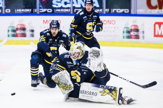 Södertäljes målvakt Love Härenstam