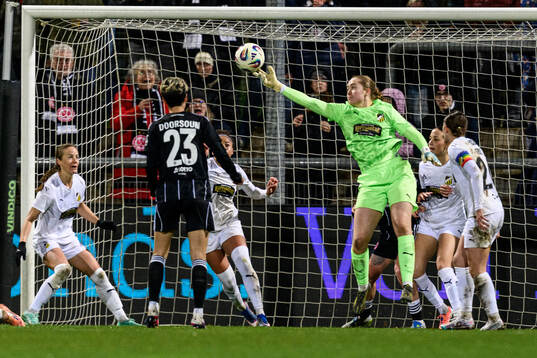 Goalkeeper Fanney Birkisdottir of Häcken
