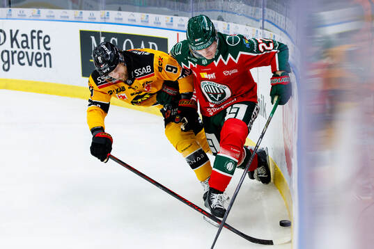 Luleås Heikki Liedes och Frölundas Theodor Niederbach