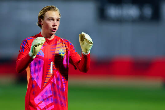 Goalkeeper Elton Fischerström of Sweden