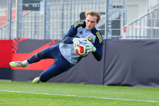 Goalkeeper Elton Fischerström of Sweden
