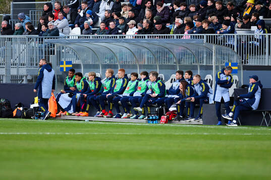 Player of Sweden