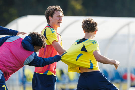 Player of Sweden celebrate