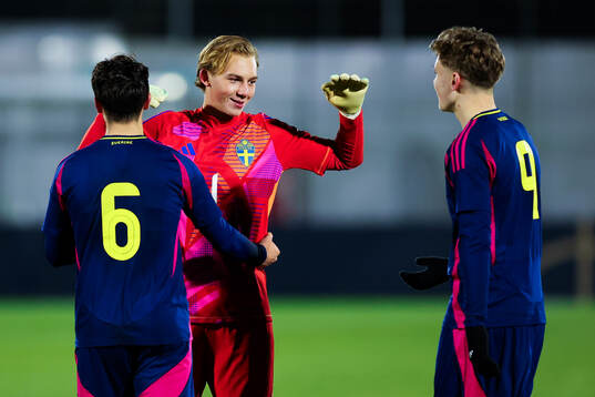 Goalkeeper Elton Fischerström and Adrian Lahdo of Sweden