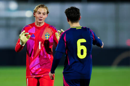 Goalkeeper Elton Fischerström and Adrian Lahdo of Sweden
