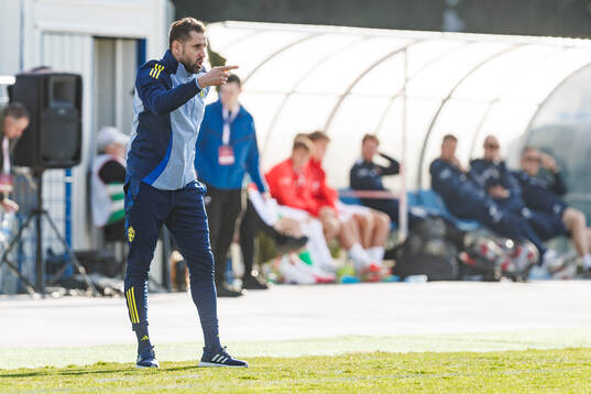 Head coach Mirza Jelecak of Sweden