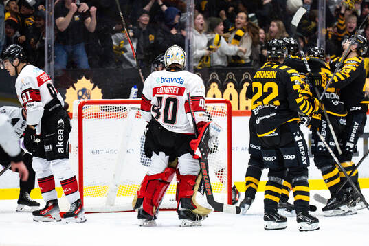 Malmö Redhawks målvakt Oskar Blomgren deppar