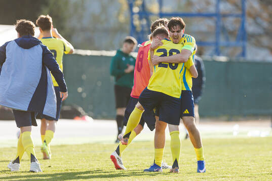 Player of Sweden celebrate