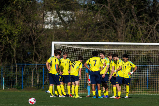 Players of Sweden