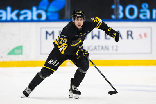 AIKs Daniel Ljungman