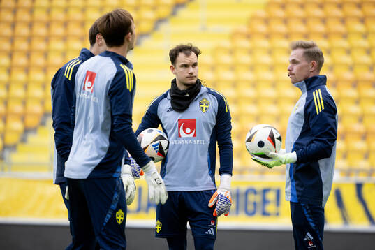 Goalkeeper Elis Bishesari of Sweden's U21 national football