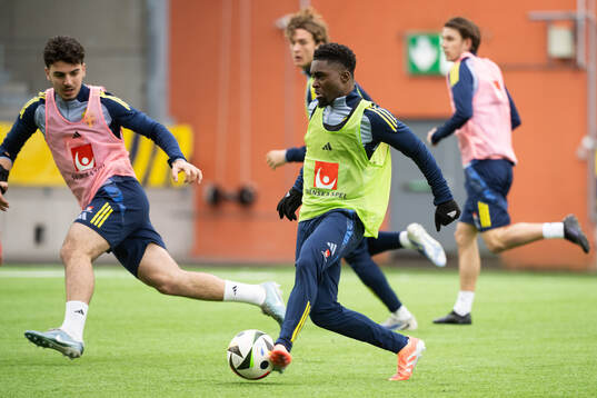 Jardell Kanga of Sweden's U21 national football team
