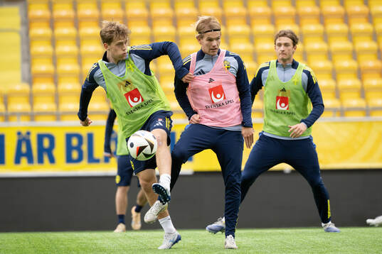 Ludwig Malachowski Thorell,  Markus Karlsson and Ludvig