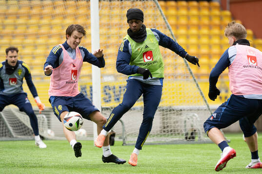 Kazper Karlsson and Richie Omorowa Kouakoud  of Sweden's