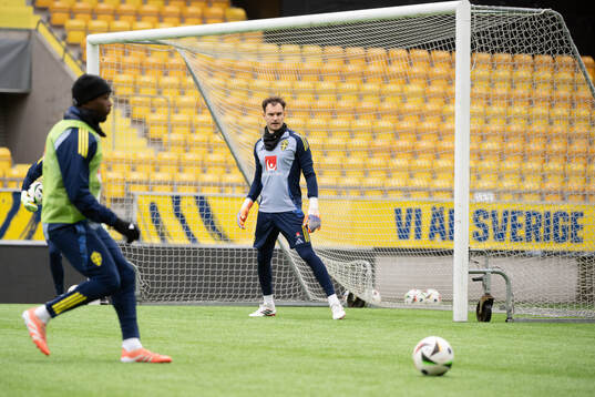 Goalkeeper Elis Bishesari of Sweden's U21 national football