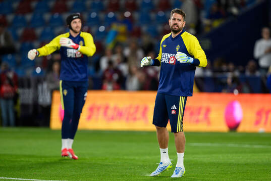 goalkeeper Kristoffer Nordfeldt of Sweden