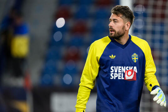 goalkeeper Kristoffer Nordfeldt of Sweden