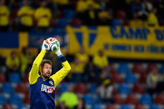goalkeeper Kristoffer Nordfeldt of Sweden