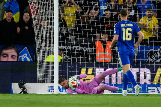 goalkeeper Kristoffer Nordfeldt of Sweden