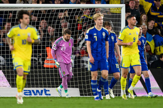goalkeeper Kristoffer Nordfeldt of Sweden looks dejected