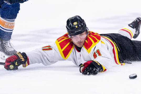 Brynäs Kieffer Bellows