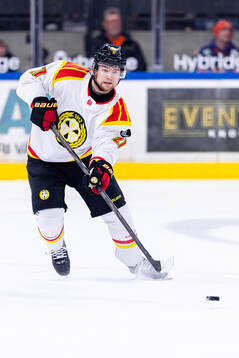 Brynäs Mattias Norlinder