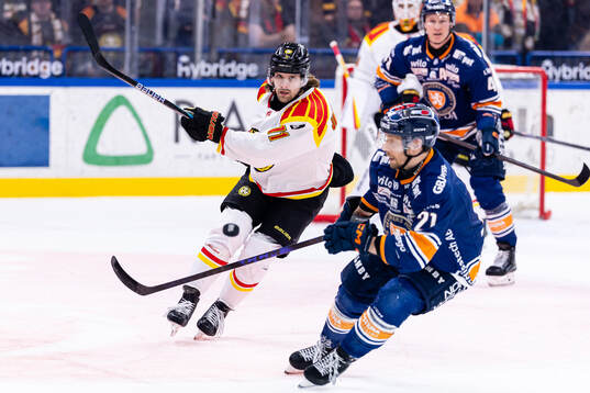 Brynäs Axel Jonsson-Fjällby och Växjös Brian Cooper