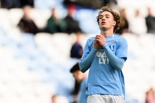 Malmö FFs Anton Höög