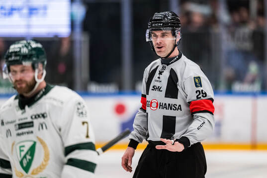 Domare Richard Magnusson