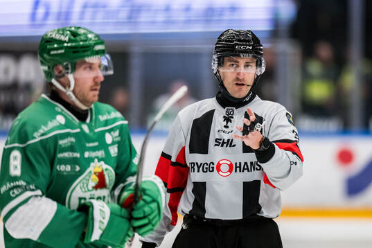 Domare Richard Magnusson