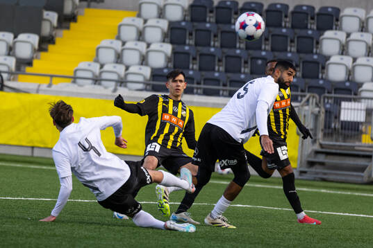 Häckens Danilo Al-Saed