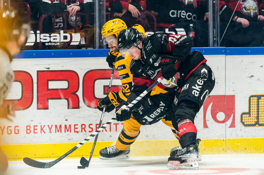 Skellefteås Arvid Lundberg och Malmö Redhawks Lauri