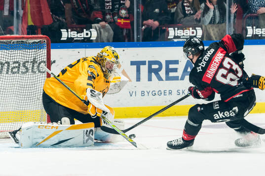 Skellefteås målvakt Linus Söderström och Malmö