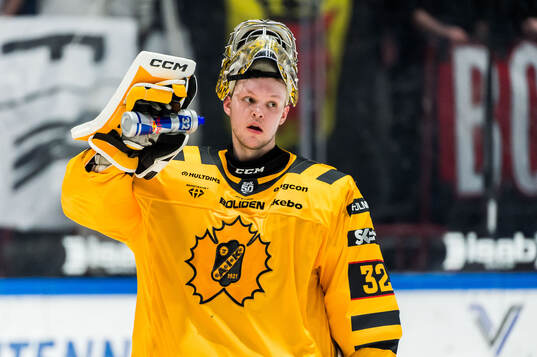 Skellefteås målvakt Linus Söderström deppar