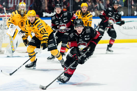 Malmö Redhawks Topi Niemelä och Skellefteås Max Krogdahl