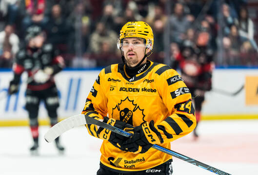 Skellefteås Andreas Johnson deppar
