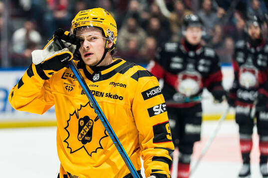 Skellefteås Victor Stjernborg deppar