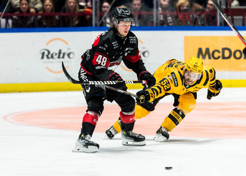 Malmö Redhawks Lauri Pajuniemi och Skellefteås Arvid