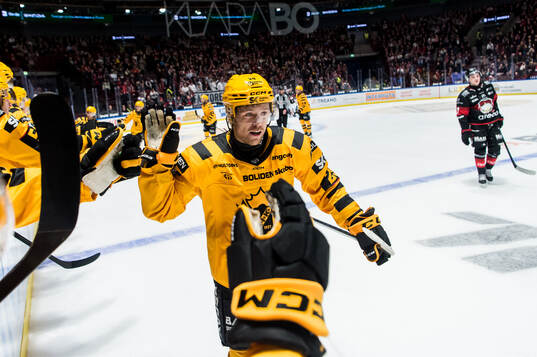 Skellefteås Mikkel Aagaard jublar