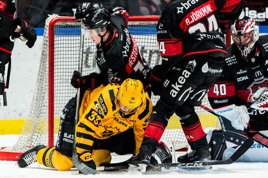 Malmö Redhawks Petter Vesterheim och målvakt Oskar