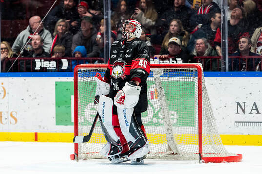 Malmö Redhawks målvakt Oskar Blomgren deppar