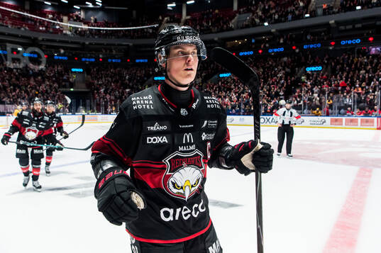 Malmö Redhawks Fredrik Händemark jublar